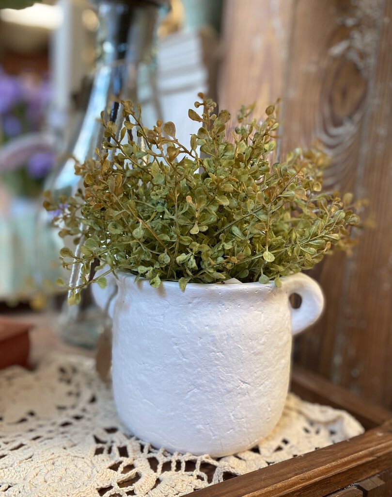 BABY GRASS
