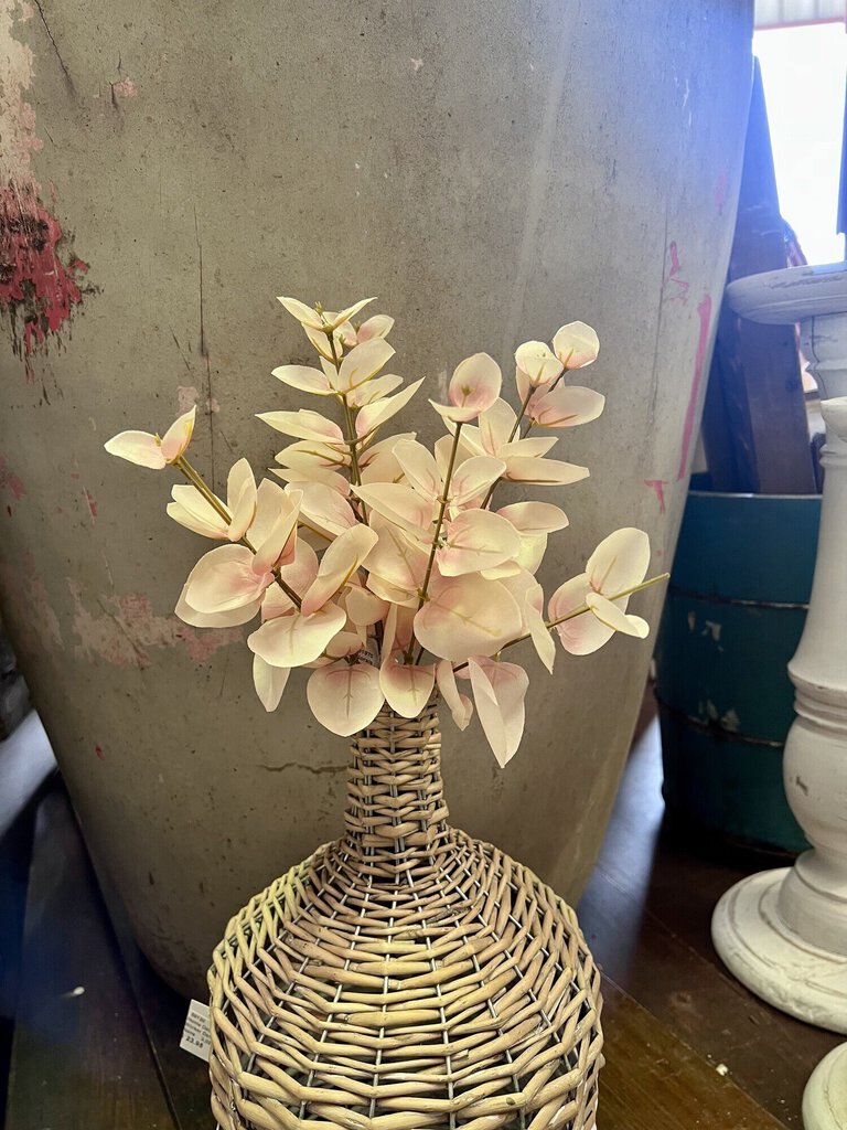 BLUSHING EUCALYPTUS