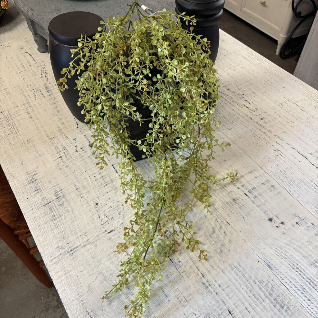 BABY GRASS