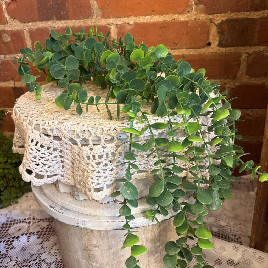 DRAPING EUCALYPTUS