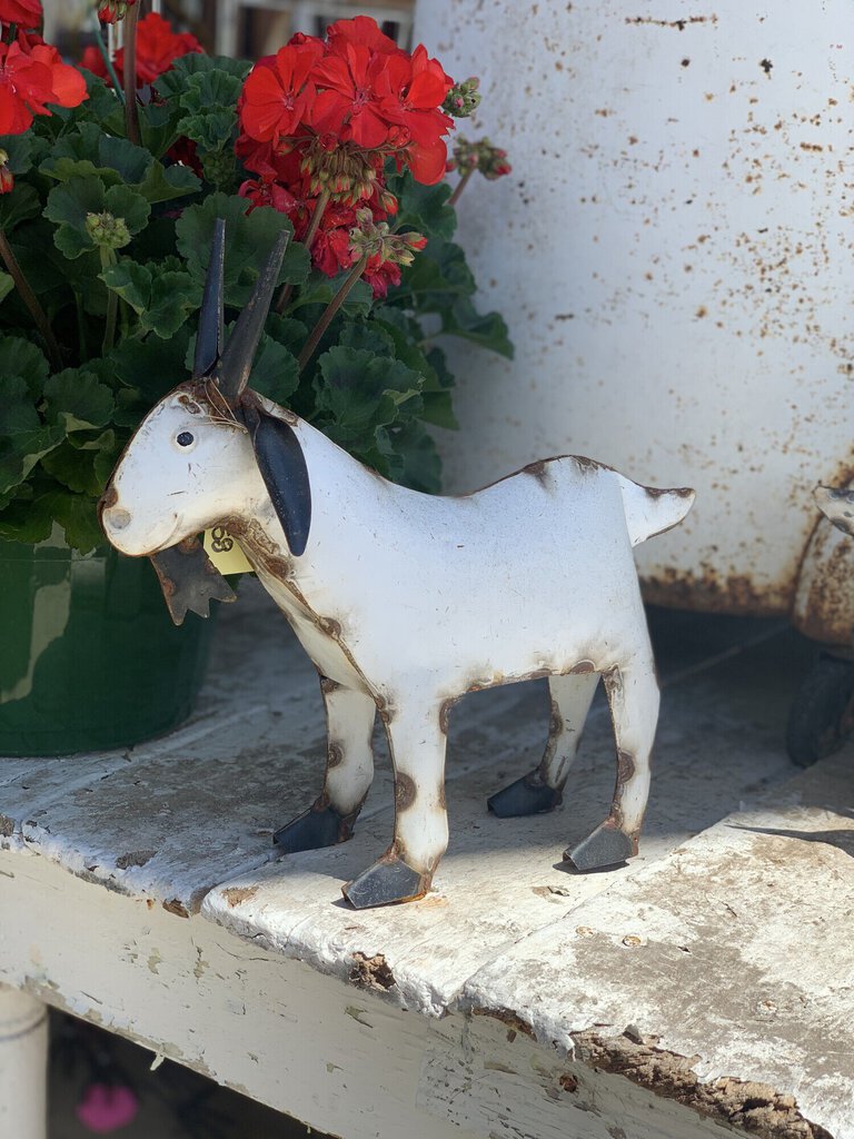 Metal Baby Billy Goat