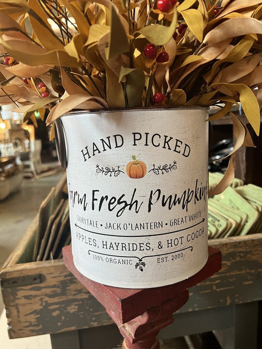 PUMPKIN BUCKET