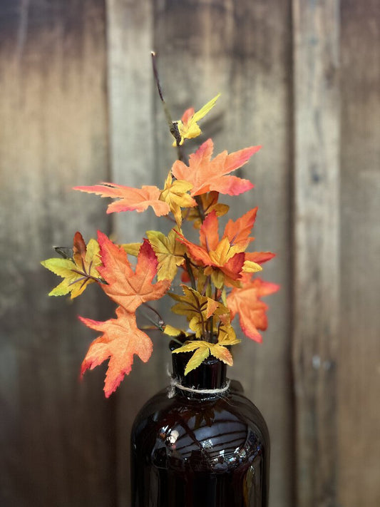Maple Pick