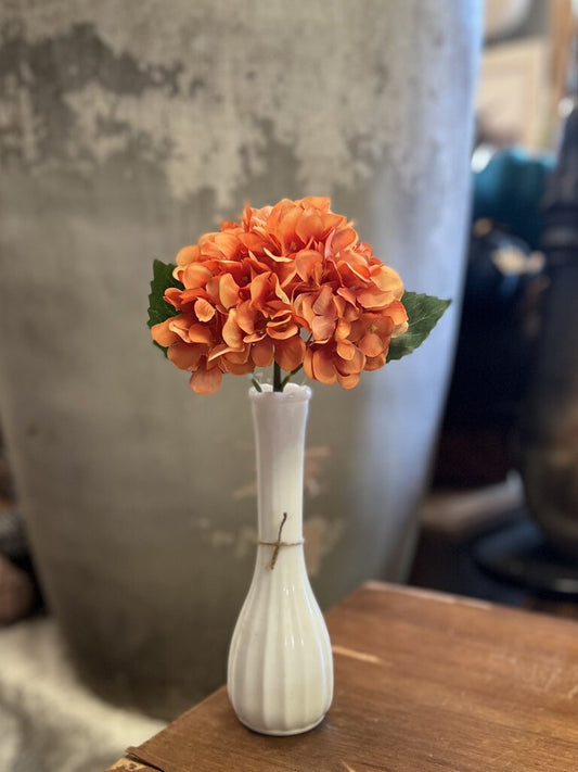 Orange Hydrangea