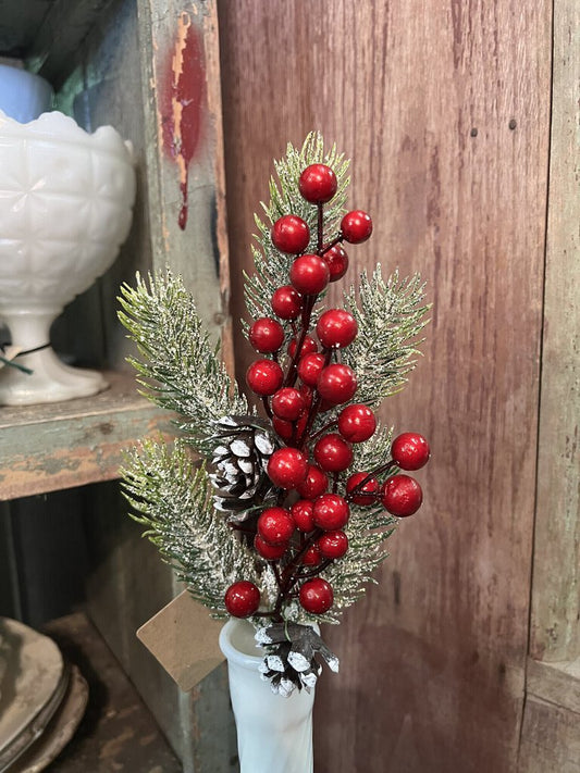 Berry And Pine Stem