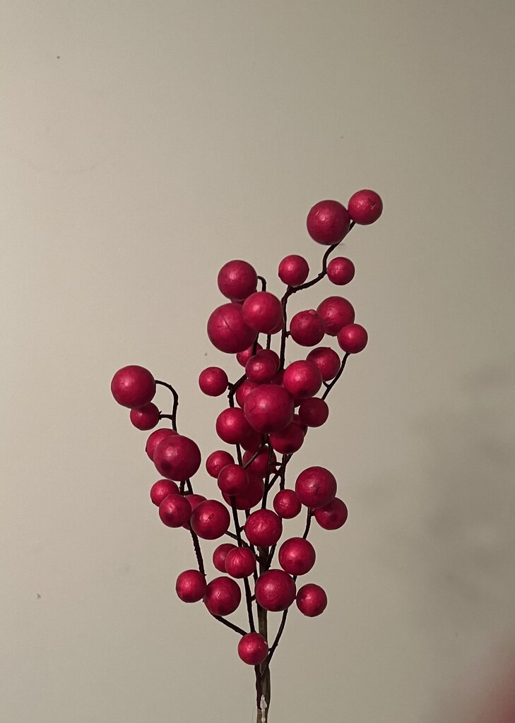 Berry Stem