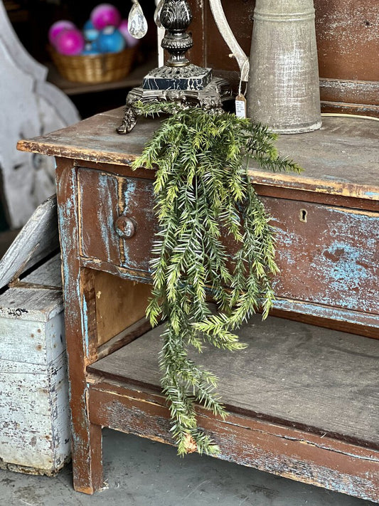 Spruce Hanging Bush