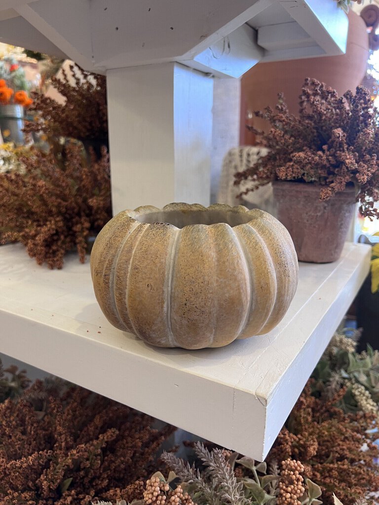 Sm Cement Pumpkin