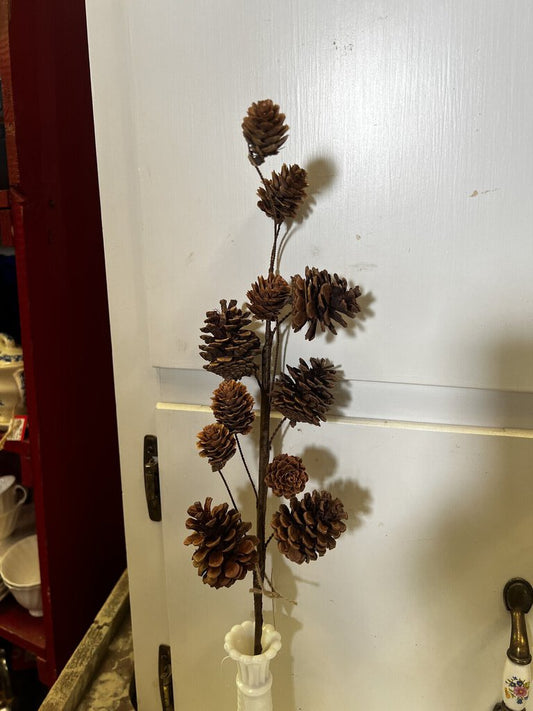 Pinecone Stem