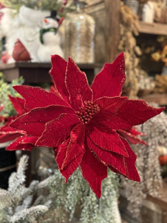 Velvet Poinsettia