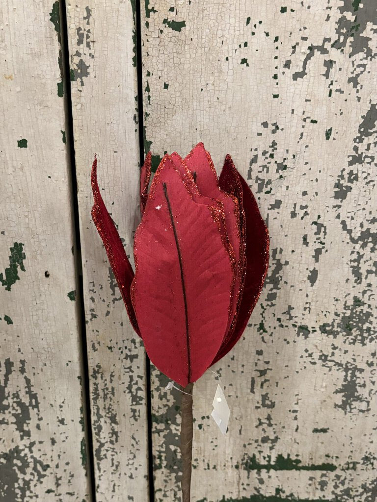 Velvet Poinsettia