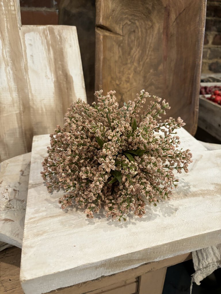 POSY BURSTING ASTILBE