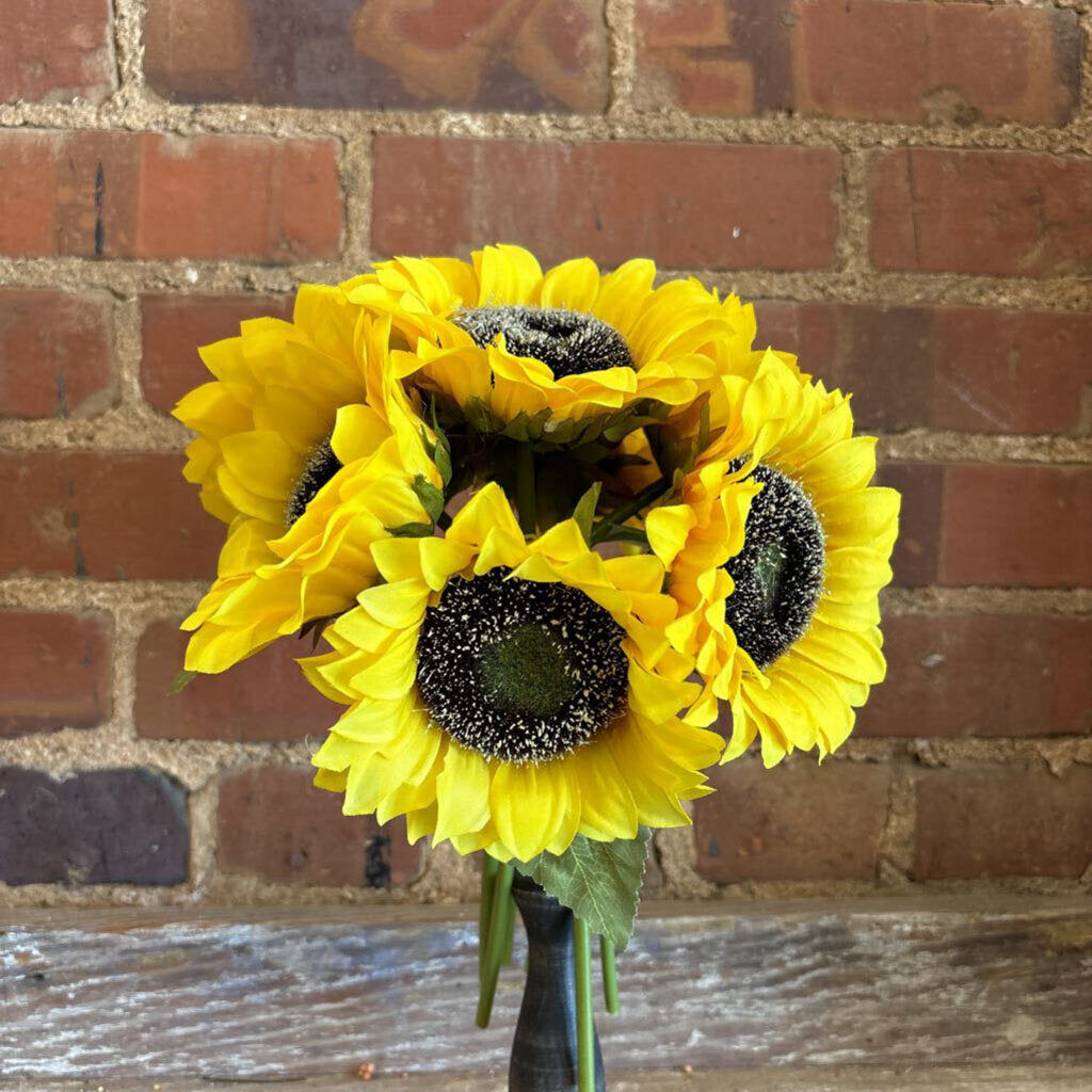 SUNFLOWER BUNDLE