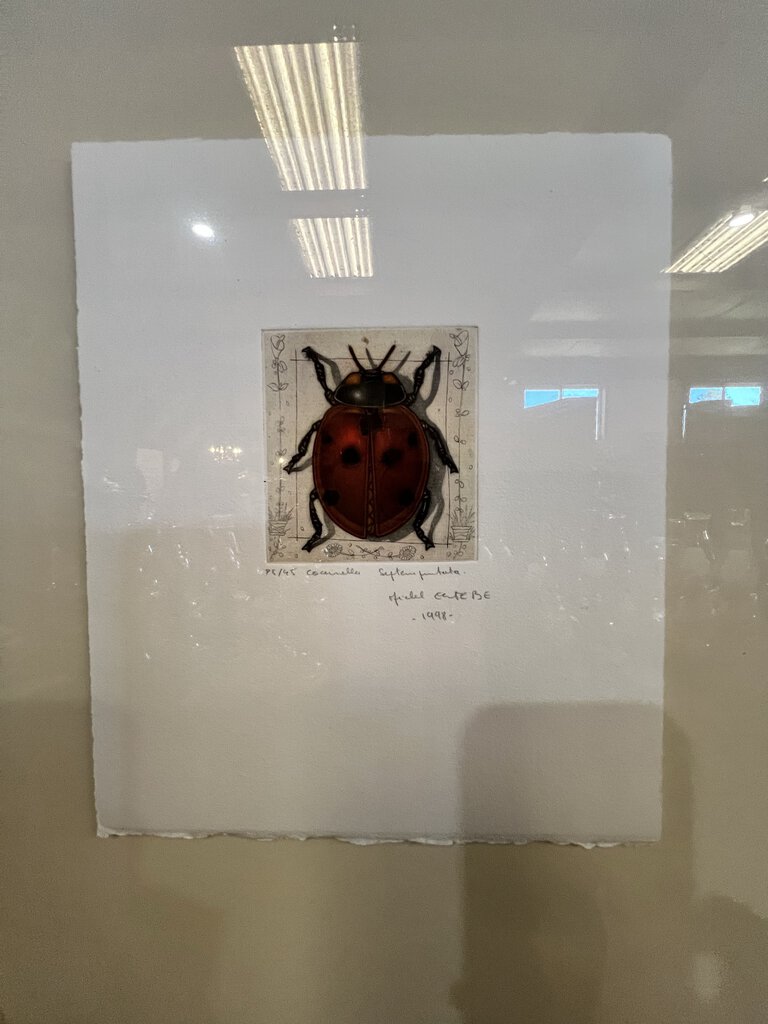 THE LADYBUG ETCHING