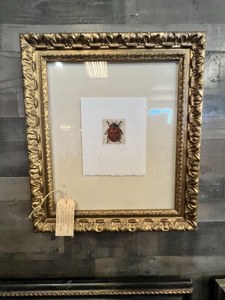 THE LADYBUG ETCHING