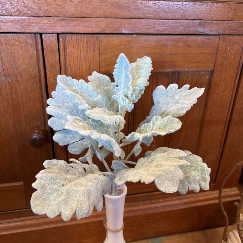 DUSTY MILLER STEM