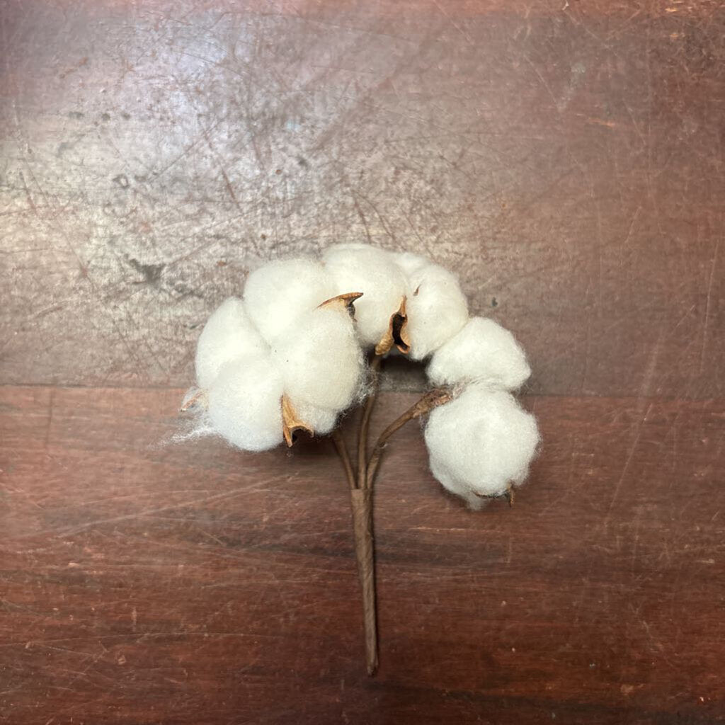 COTTON PICK