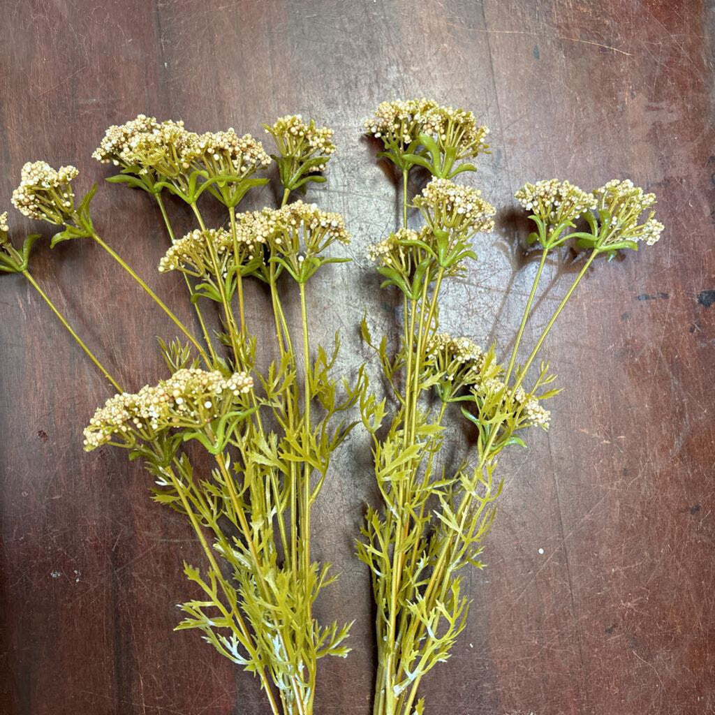 WILD YARROW