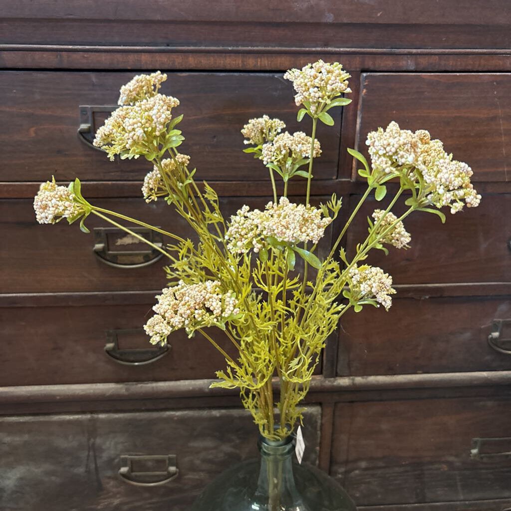 WILD YARROW