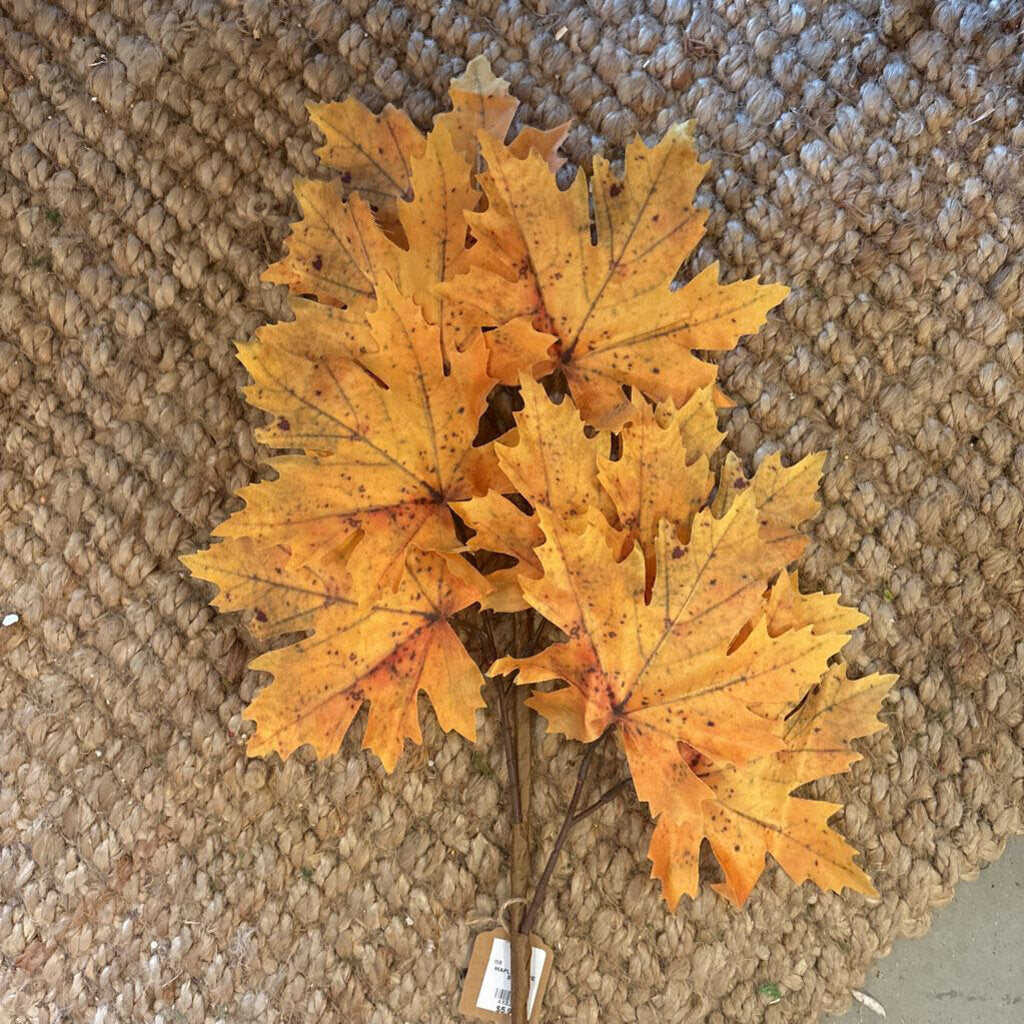 MAPLE LEAVES STEM