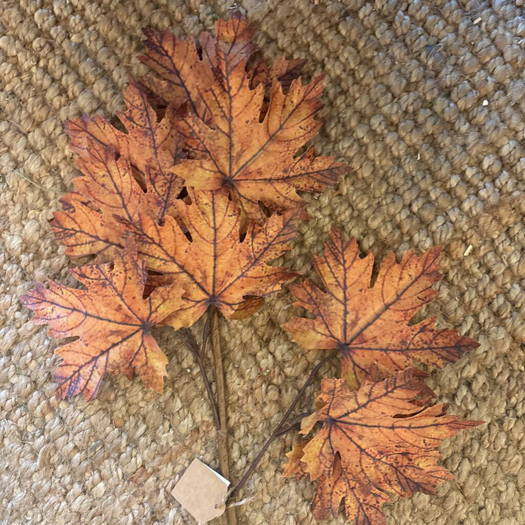 MAPLE LEAVES STEM