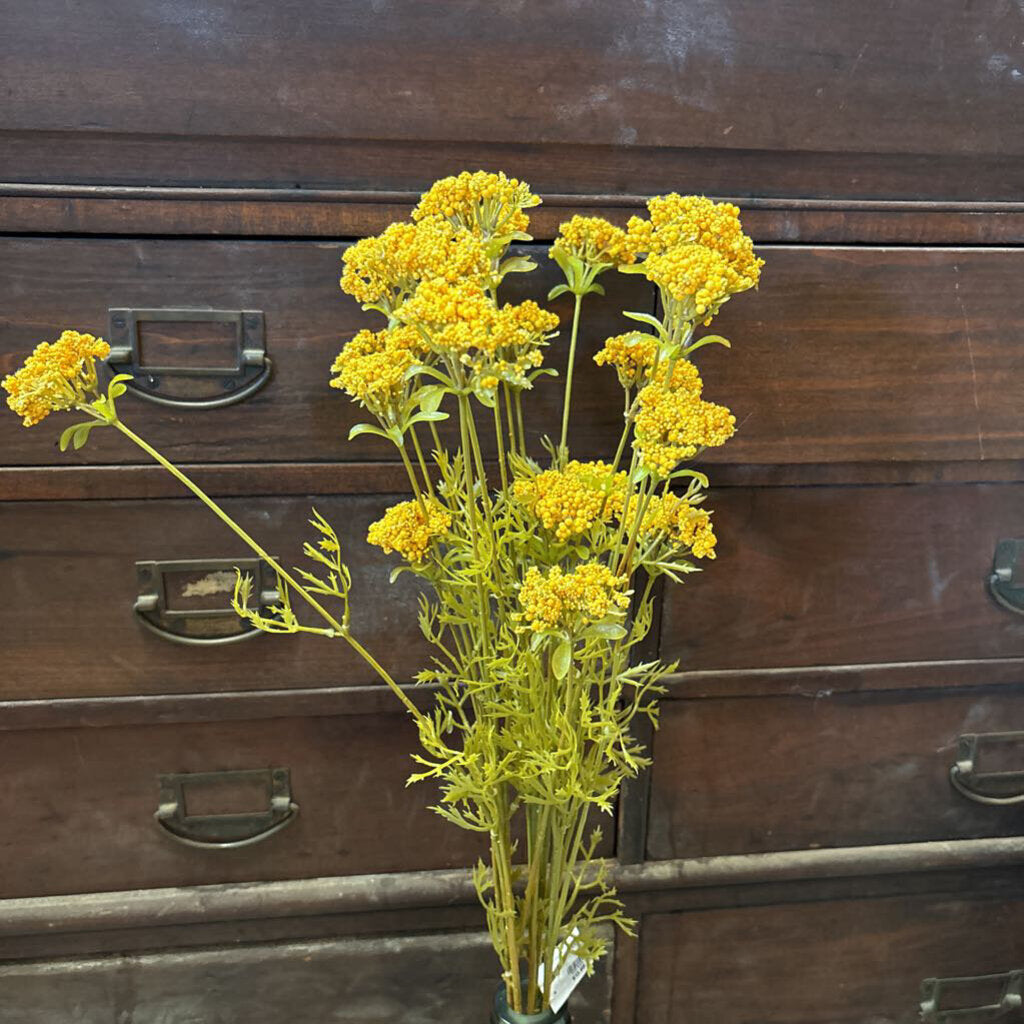 WILD YARROW