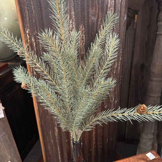 PINE STEM