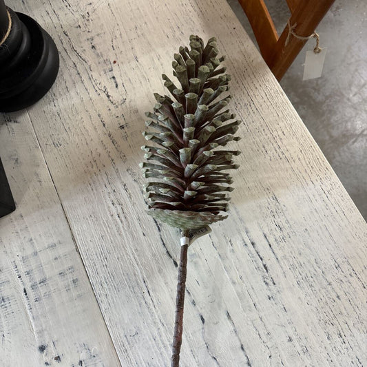 PINE CONE STEM