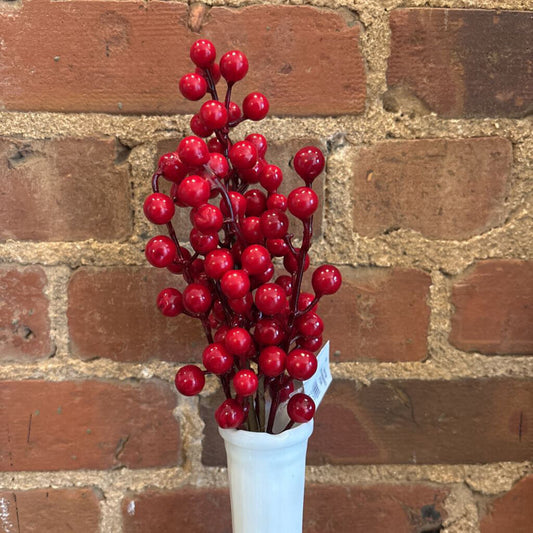 WINTER GOOSEBERRY STEM