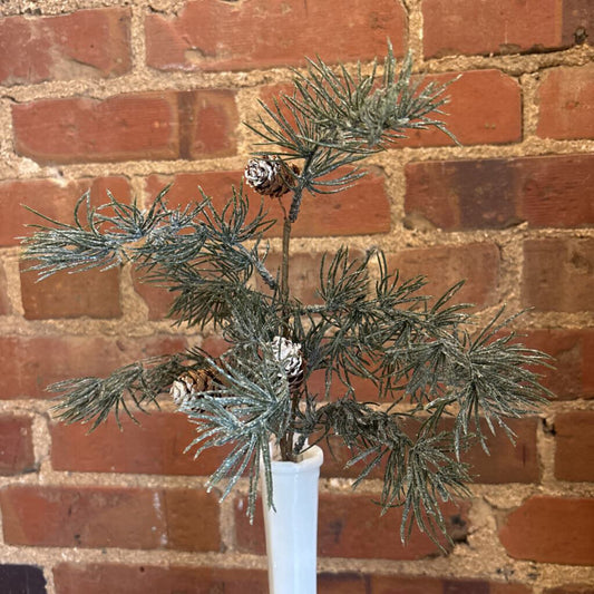 ICED WEEPING PINE STEM