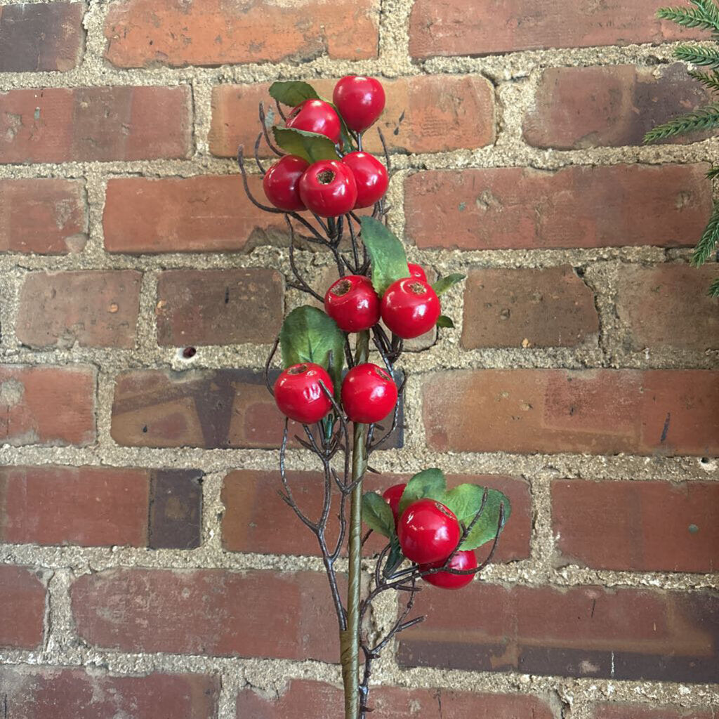 LARGE BERRY STEM