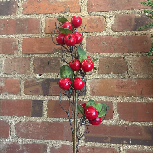 LARGE BERRY STEM