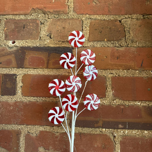 PEPPERMINT CANDY STEM