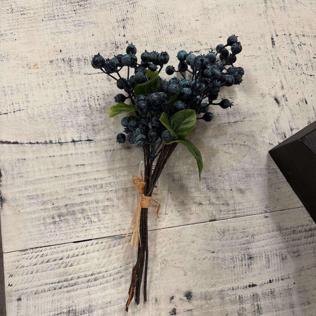 BLUEBERRY STEM BUNDLE