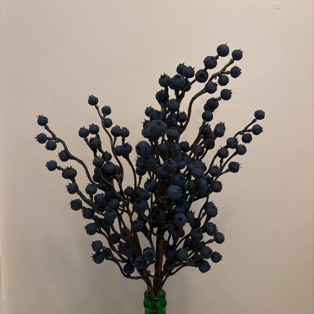 BLUEBERRY BUSH