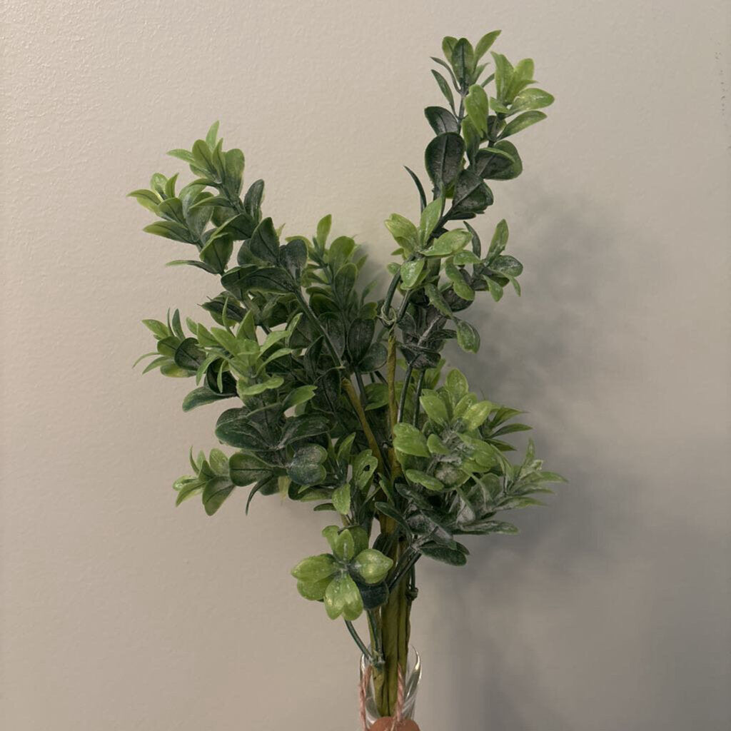 DUSTY BOXWOOD