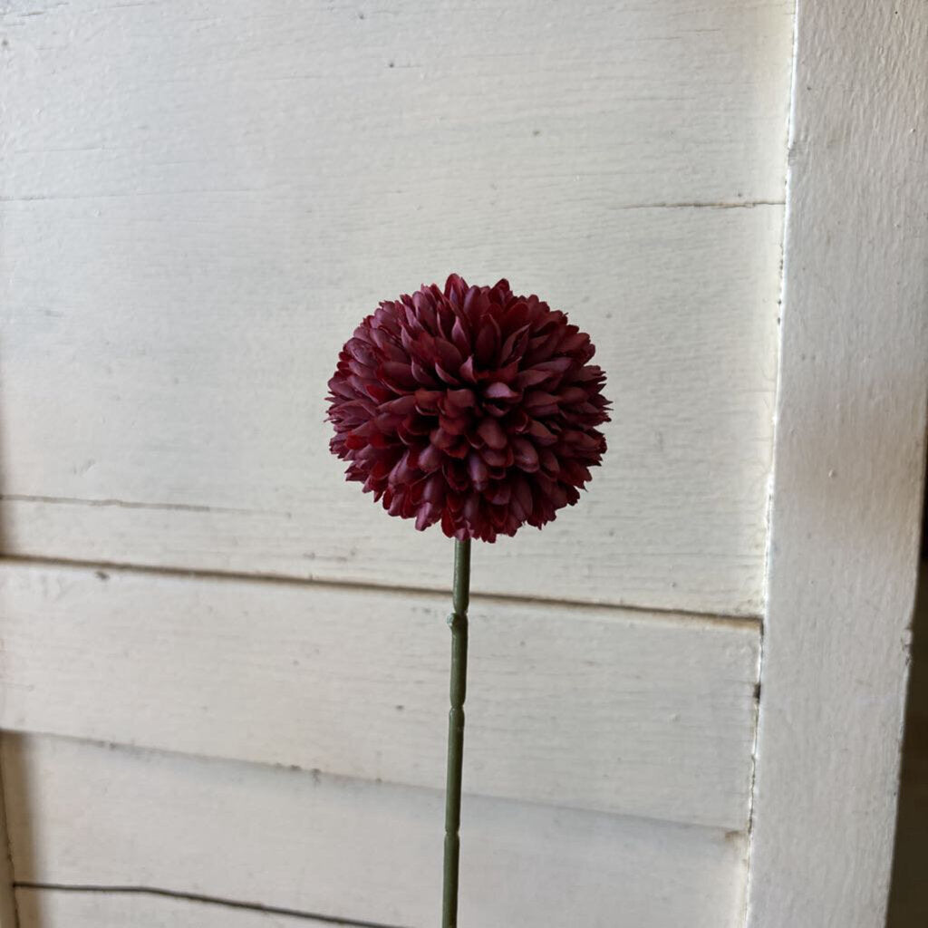 POM POM STEM