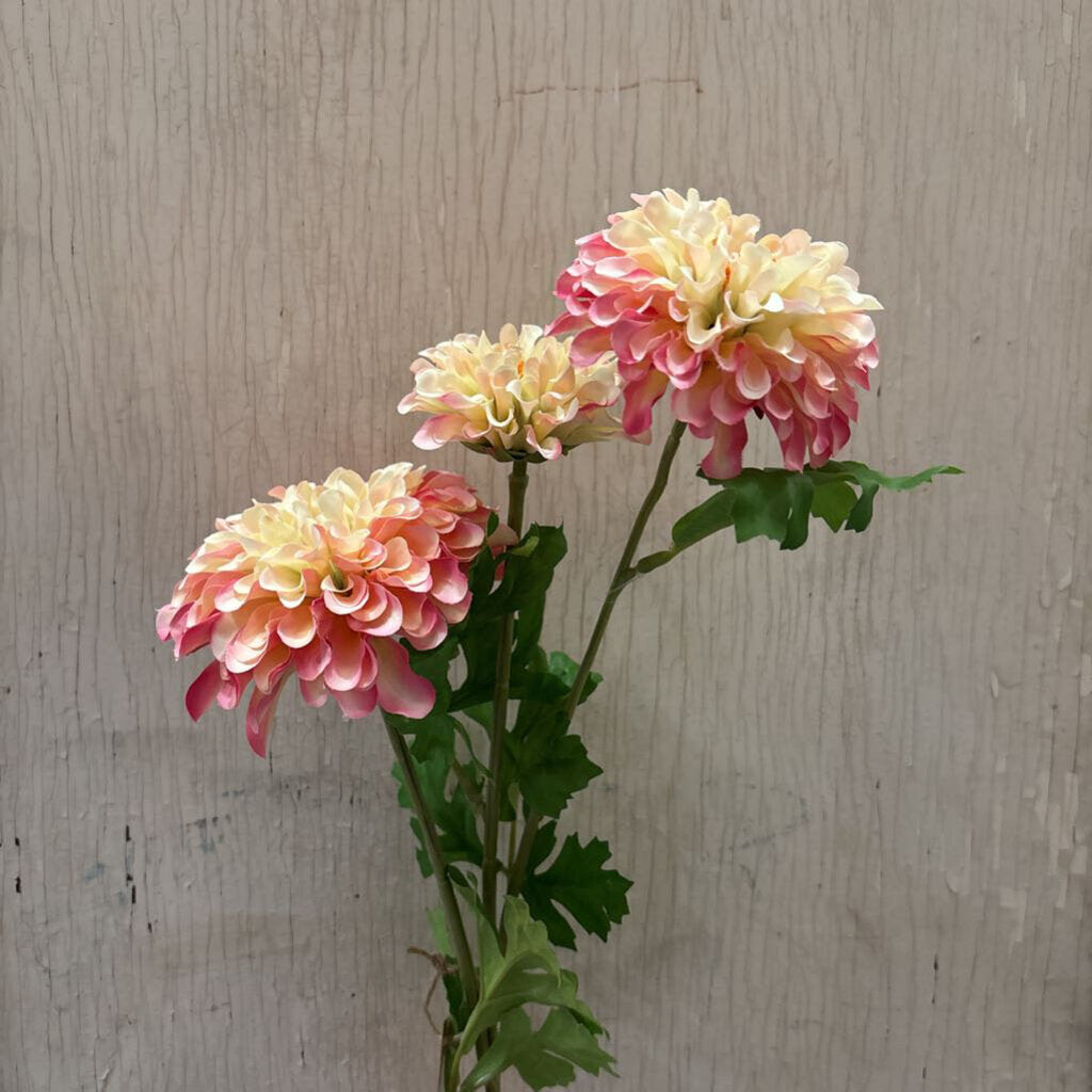 ZINNIA STEM