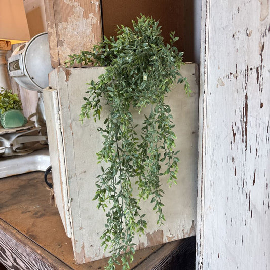 DRAPING LEMON BEAUTY