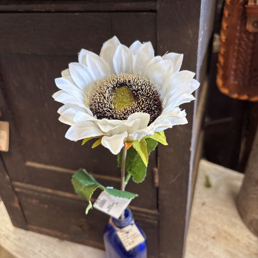 SUNFLOWER STEM