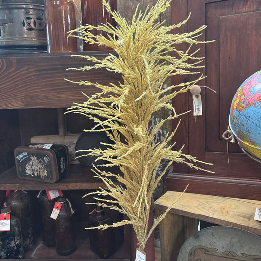 PAMPAS GRASS STEM