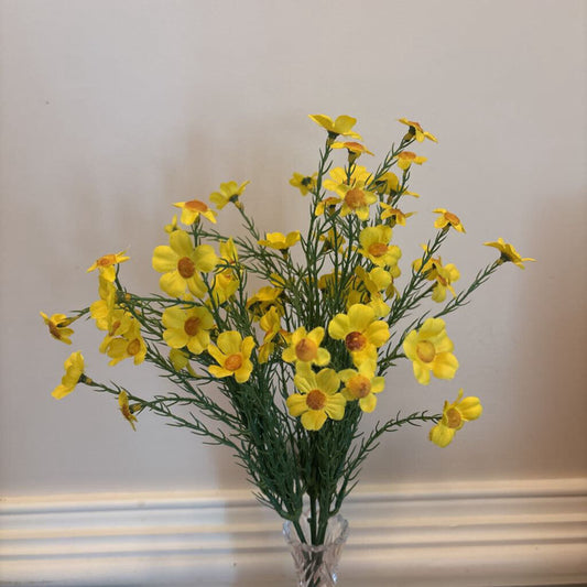 BUTTERCUP AND DILL BUSH